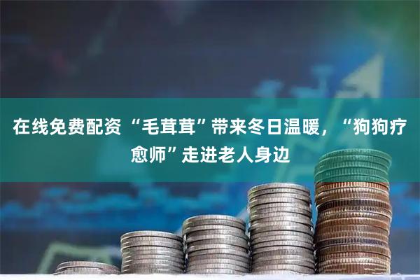 在线免费配资 “毛茸茸”带来冬日温暖，“狗狗疗愈师”走进老人身边